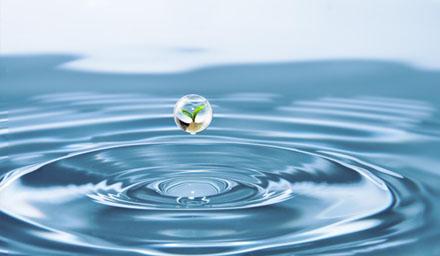 喜報 | 海星股份成功獲評“江蘇省節(jié)水型企業(yè)”！