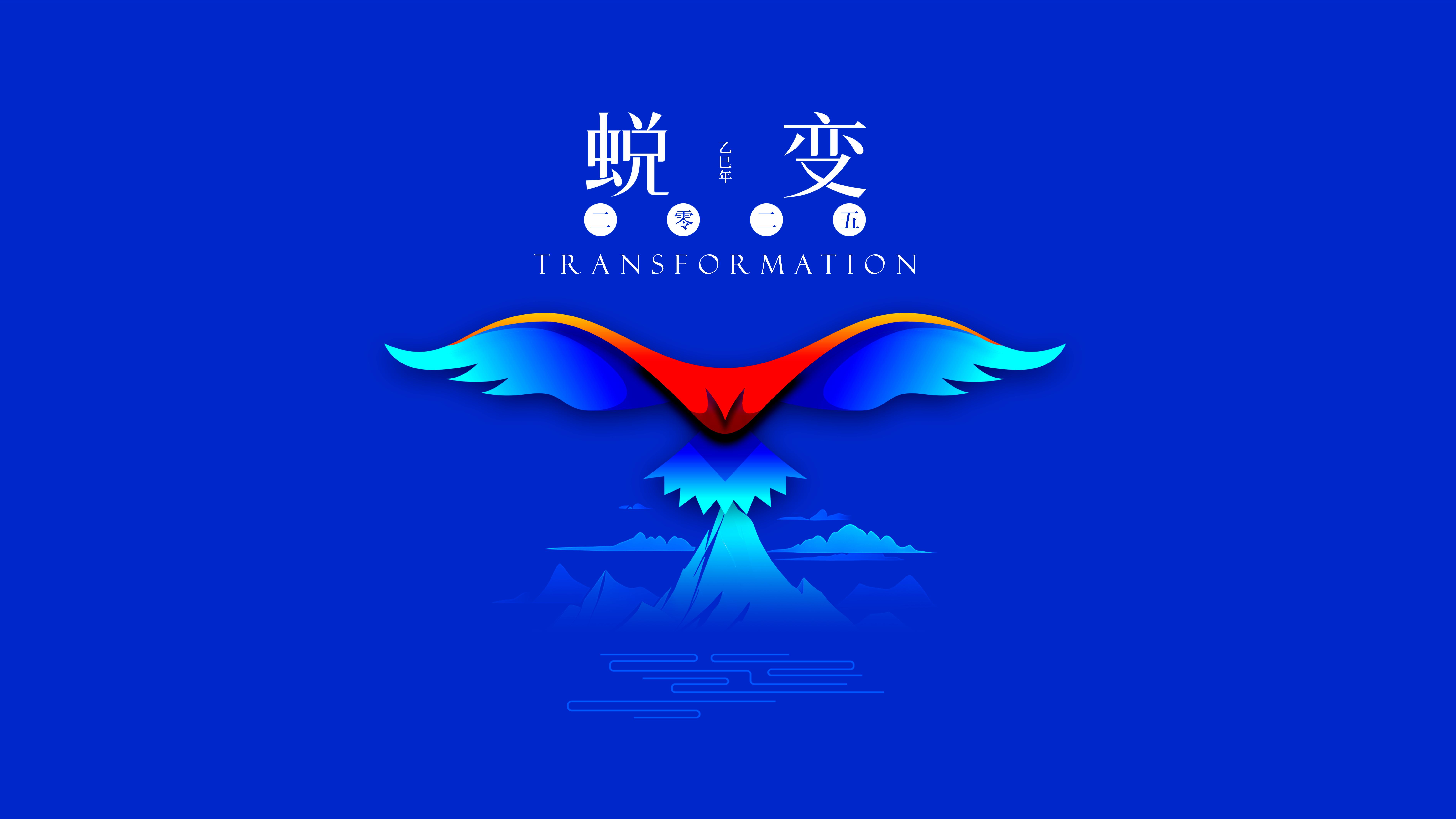 我與海星的2024，期待2025年與您一起續(xù)寫(xiě)美好篇章